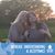Tammy Rakowski's profile image