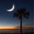 Anita Elvington Steele's profile image