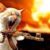 Miriam C Lovette's profile image