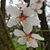 Sylvia Walkey's profile image