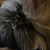 Brian T. Harris's profile image