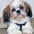Sylvia Cary's profile image