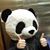 Amy Mackey's profile image
