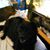 Janet Mercer-Pillon's profile image