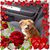 Beth Shingledecker's profile image