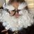 Gloria Jett's profile image