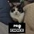 Janice Morgan-Corn's profile image