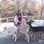 Peg Petersen Speelman's profile image