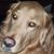 Tammy Pruitt's profile image