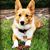 Dawn M Reeves's profile image