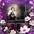 Dee Lani Boushey's profile image