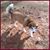 Mary Schanzle-Stack's profile image
