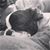 Greta Knapp's profile image