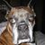 Lorelei Karzen Loch's profile image