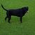 Sheila Lee McRay's profile image