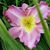 Mary Farmer's profile image