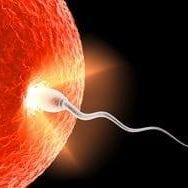 Christopher Bauman's profile image