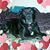 Debbie Clarke's profile image