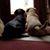 Linda S Ranck's profile image