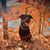 Kathie Reed's profile image