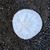 Linda Rhoades Clarke's profile image