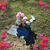 Jodi Blackwelder Stegall's profile image