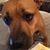 Deborah Vitt's profile image