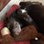 Elli K. Straus's profile image