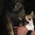 Darrin Braswell's profile image