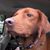 Judy Clancy's profile image
