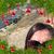 Ann Sebilla's profile image
