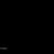 Devon Hunter's profile image