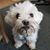 Bonnie Pickering's profile image