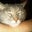 Mandy Murphy's profile image