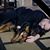 Jason Giardino's profile image
