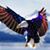 Carrie Garcia Nutt's profile image