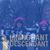 Robin Schneider Weissbratten's profile image