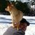 Andy Picone's profile image