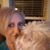Kim Osbourn Komorek's profile image
