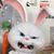 Herb Leong's profile image