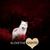 Debbie C Ballard's profile image