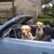 Karen Nead's profile image