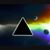 Brad Willms's profile image