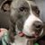 Kim L Stump's profile image