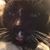 Rocky Harting's profile image