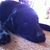 Rosie Andalon's profile image