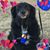 Stephanie Rhea Anderson's profile image