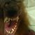 Craig Severson's profile image