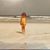Jessica Latta Harrelson's profile image