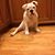 Kathy Calton-Long's profile image